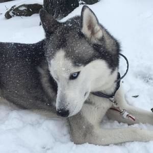 Meet your Posher, Katherine